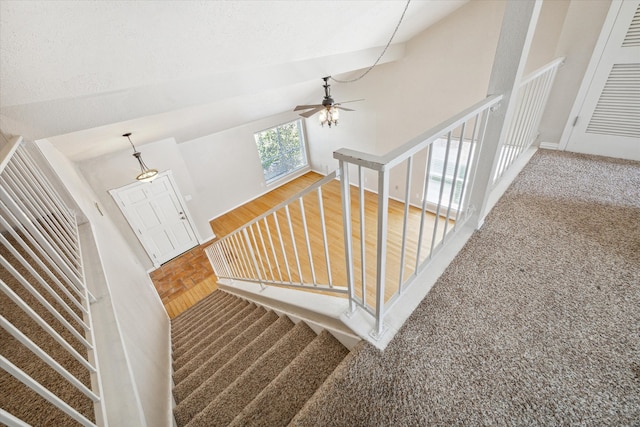 stairs featuring ceiling fan, carpet, and lofted ceiling