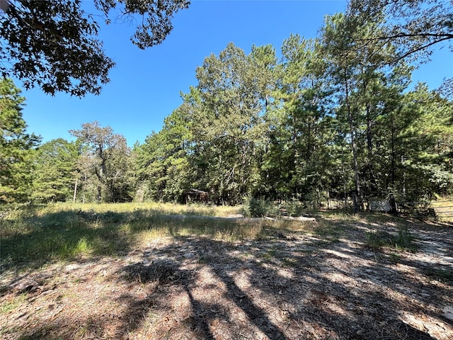 Listing photo 2 for TBD County Road 3266, Colmesneil TX 75938