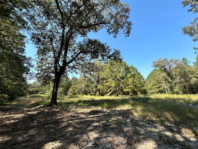 TBD County Road 3266, Colmesneil TX, 75938 land for sale