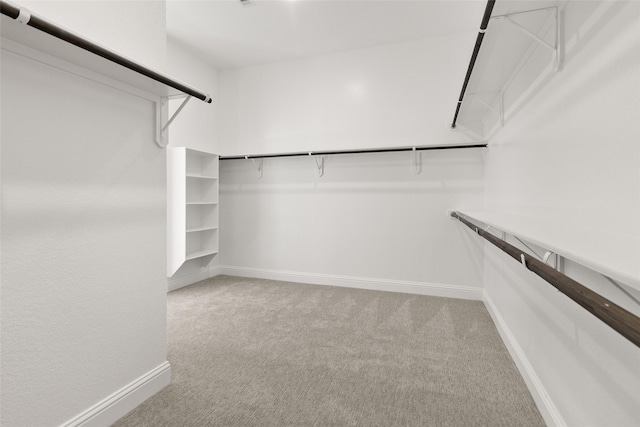 walk in closet with carpet floors