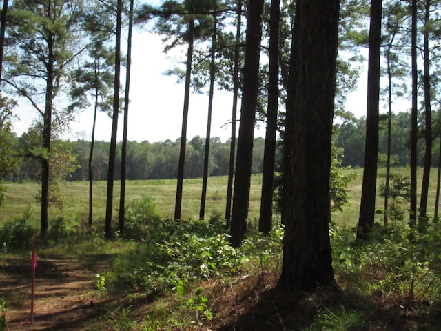 0008 Fm 256 N, Woodville, TX 75979 - photo 1