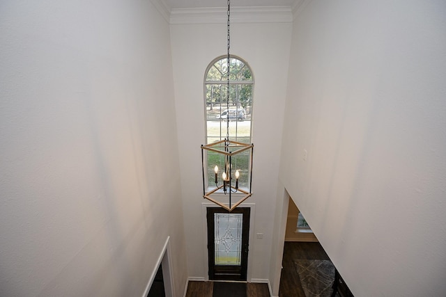 entrance foyer with dark hardwood / wood-style flooring, a chandelier, a high ceiling, and ornamental molding