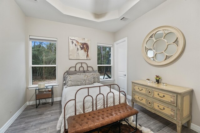 bedroom featuring a raised ceiling and dark hardwood / wood-style floors