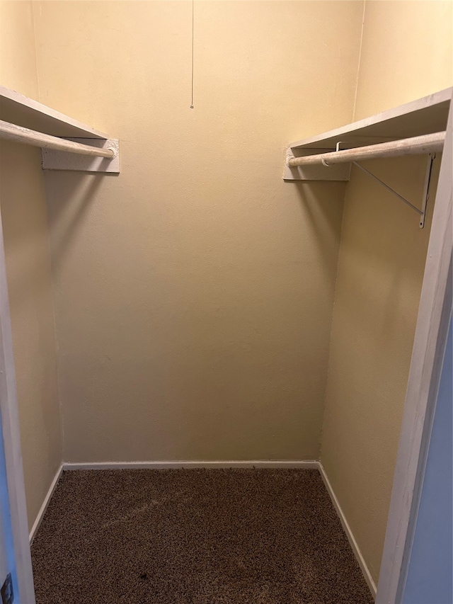 spacious closet featuring carpet floors