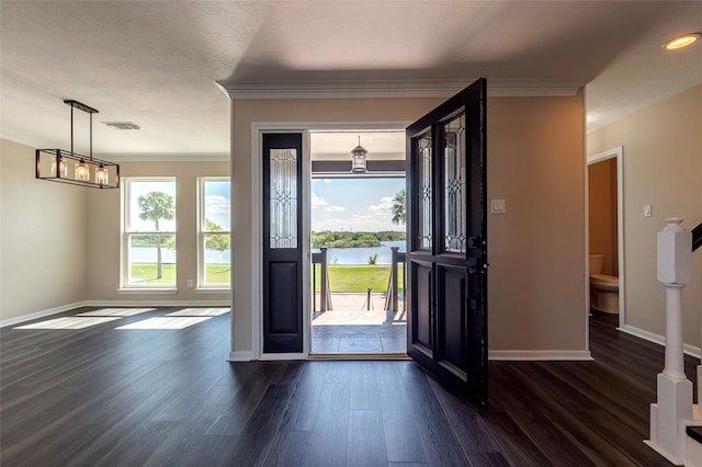 foyer featuring ornamental molding, dark hardwood / wood-style flooring, and a textured ceiling