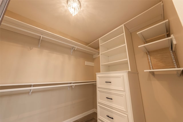 walk in closet with hardwood / wood-style flooring