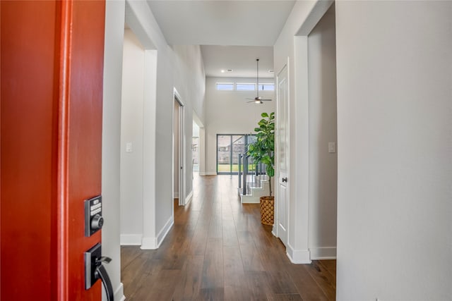 hallway featuring a towering ceiling and dark hardwood / wood-style floors