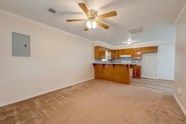 kitchen with electric panel, ceiling fan, crown molding, light carpet, and kitchen peninsula