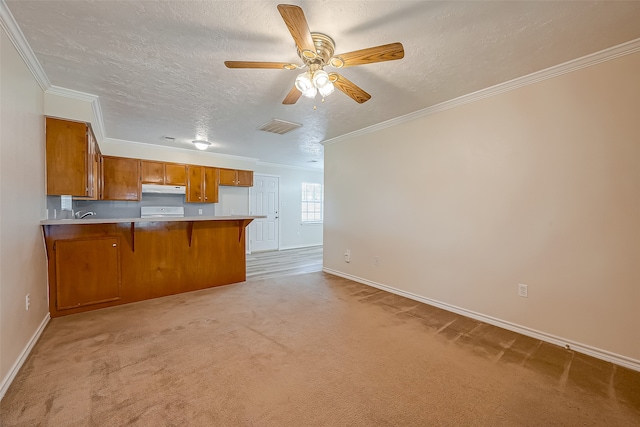 kitchen with ceiling fan, ornamental molding, kitchen peninsula, a textured ceiling, and light carpet