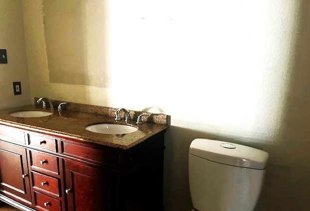 bathroom featuring vanity and toilet