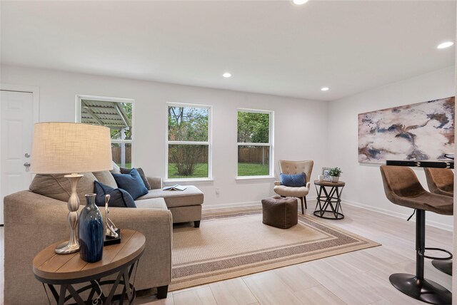 living room with hardwood / wood-style floors