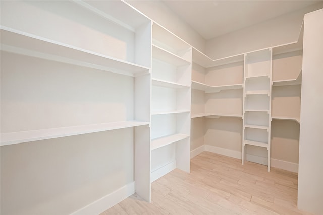 walk in closet featuring hardwood / wood-style floors