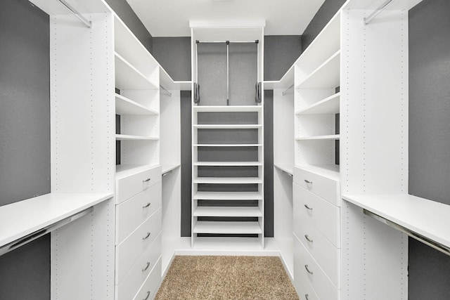 walk in closet with light colored carpet