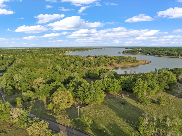 Listing photo 3 for LOT18 Lcr 740, Thornton TX 76687