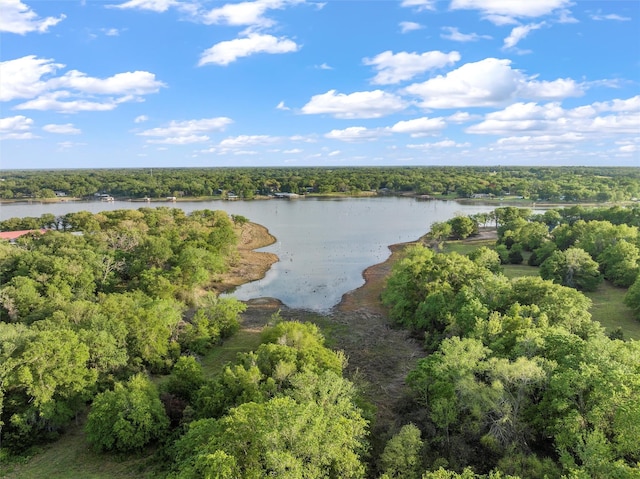 LOT18 Lcr 740, Thornton TX, 76687 land for sale