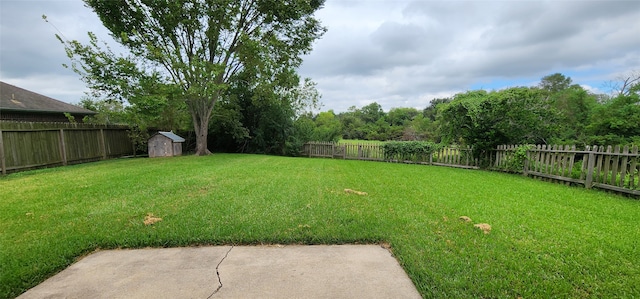 view of yard featuring a shed and a patio area