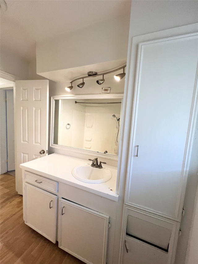 bathroom with vanity and wood-type flooring