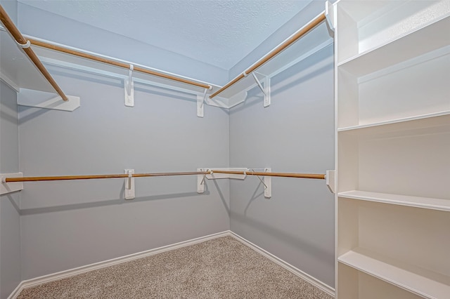 walk in closet with carpet floors