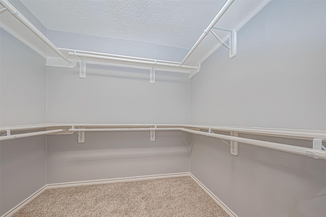 spacious closet with carpet floors