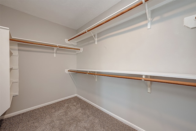 spacious closet featuring carpet flooring