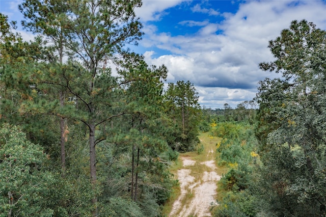 Listing photo 3 for 0 County Road 331, Cleveland TX 77327