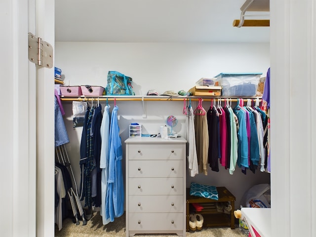 walk in closet featuring carpet floors