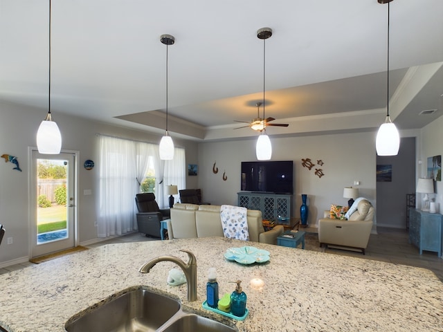 kitchen with hardwood / wood-style flooring, hanging light fixtures, sink, and a raised ceiling