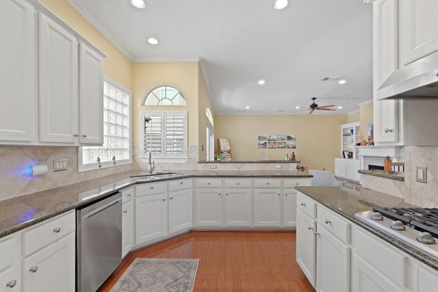 kitchen featuring ceiling fan, sink, white cabinets, and stainless steel appliances