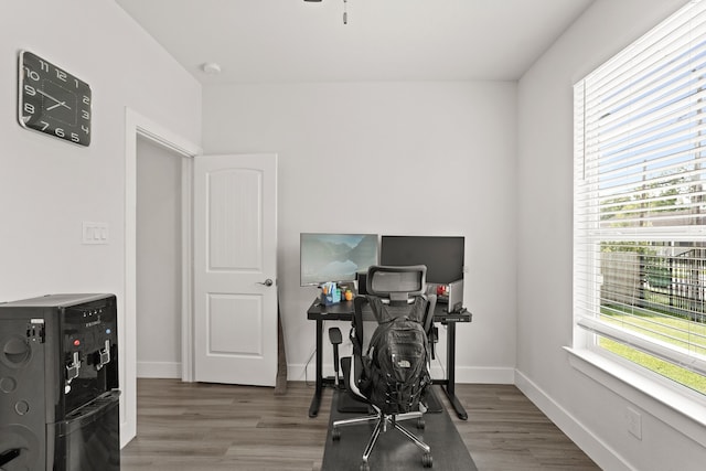 office space featuring hardwood / wood-style flooring