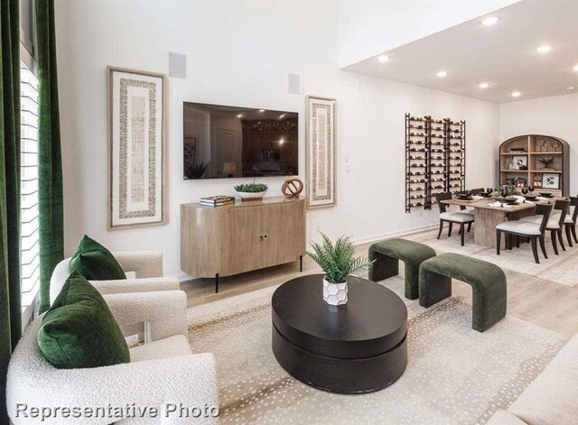 living room featuring light hardwood / wood-style flooring