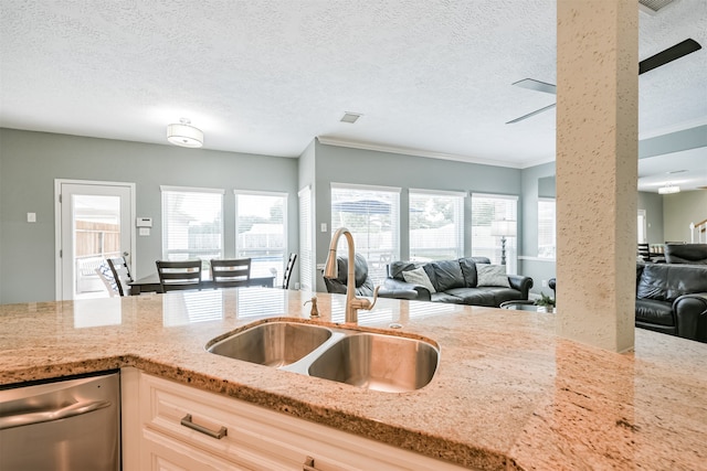 kitchen featuring crown molding, dishwasher, sink, and a wealth of natural light