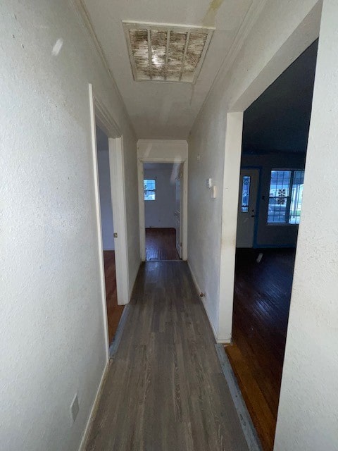 corridor with dark wood-type flooring