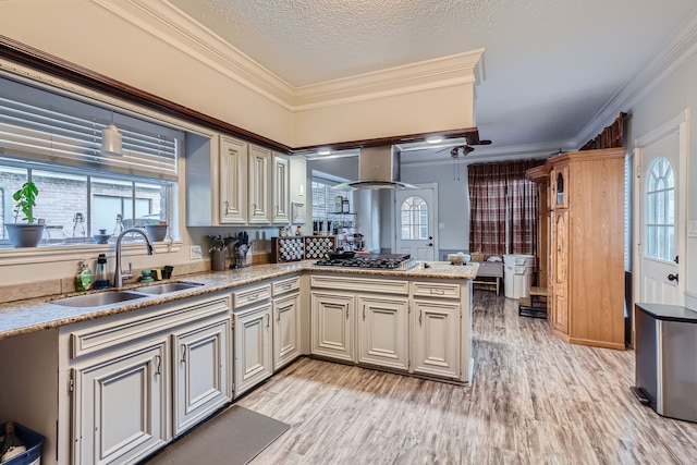 kitchen with light wood-type flooring, crown molding, and sink