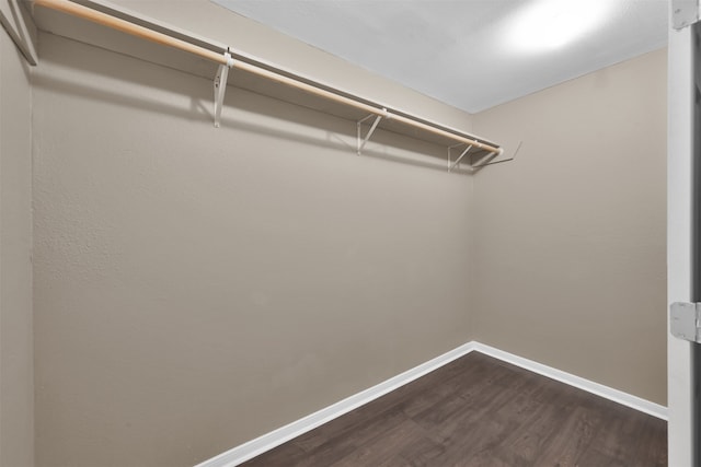 spacious closet featuring dark hardwood / wood-style floors