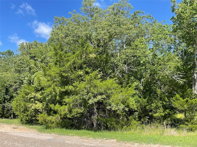 23 N Pine Harbour Dr, Coldspring TX, 77331 land for sale