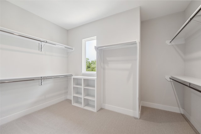 walk in closet with light colored carpet