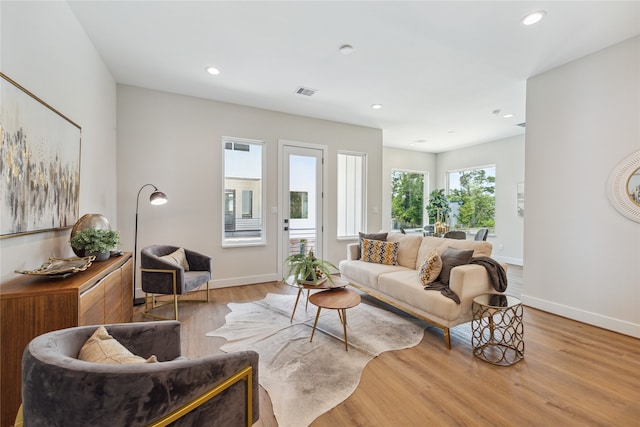 living room featuring light hardwood / wood-style flooring