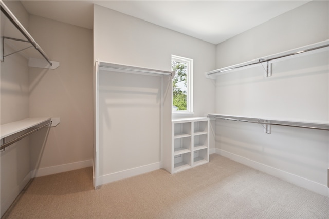 walk in closet featuring light colored carpet