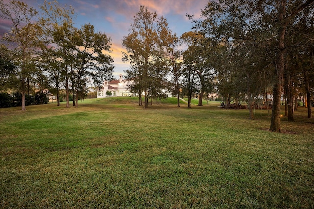 view of yard at dusk