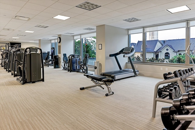 gym featuring a drop ceiling and light colored carpet