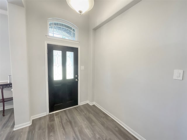 foyer entrance featuring dark hardwood / wood-style flooring