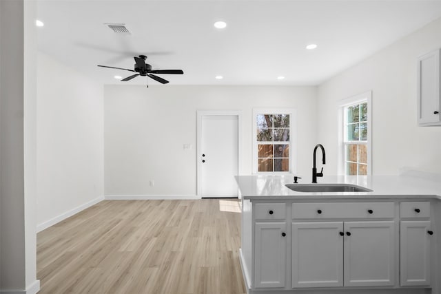 kitchen featuring ceiling fan, sink, and light hardwood / wood-style flooring