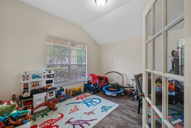 recreation room with hardwood / wood-style flooring and lofted ceiling