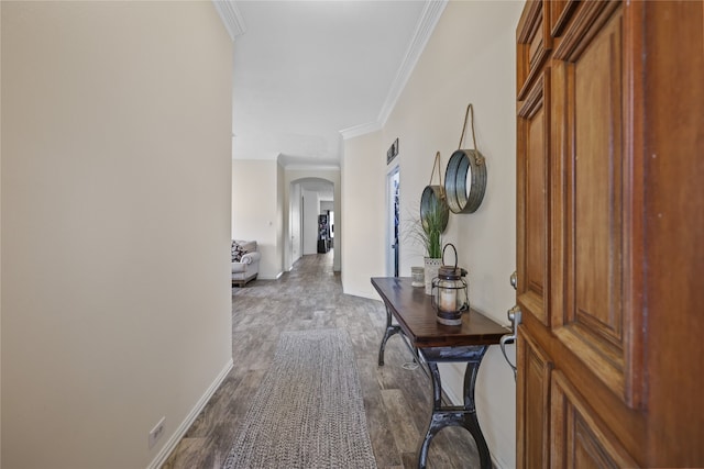 corridor featuring crown molding and dark hardwood / wood-style floors