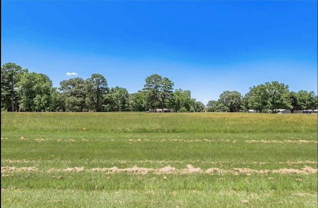 Listing photo 3 for LOT6 Liendo Dr, Trinity TX 75862