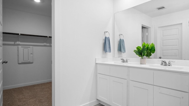 bathroom with vanity