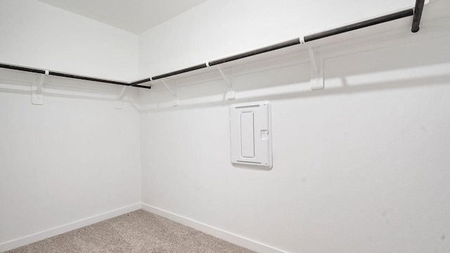 spacious closet with carpet floors and electric panel