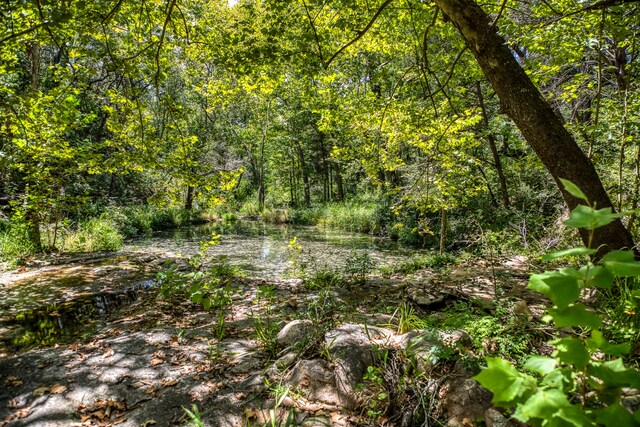3618 State Highway 159, La Grange, TX 78945 - photo 5