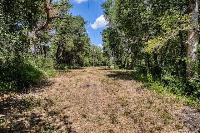 3618 State Highway 159, La Grange, TX 78945 - photo 13