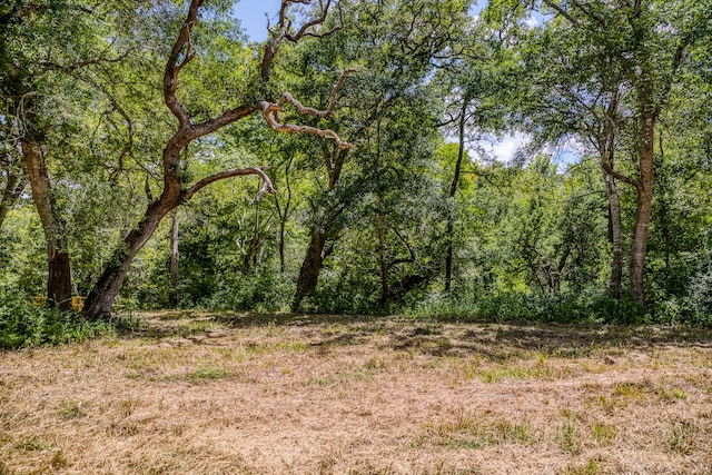 3618 State Highway 159, La Grange, TX 78945 - photo 11